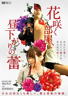 长风渡夜行剧集海报 520电影网